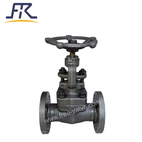 RF Flanged End Forged Steel Globe Valve FRZ41H PN100 A105 body