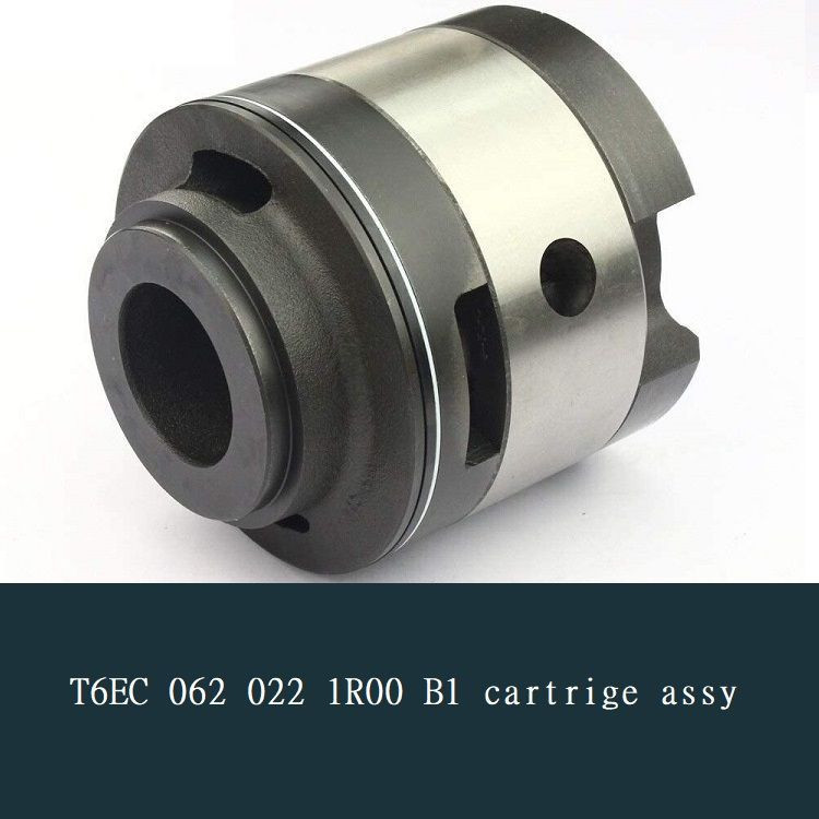 vane pump T6EC 062 025  cartrige assy for deck crane