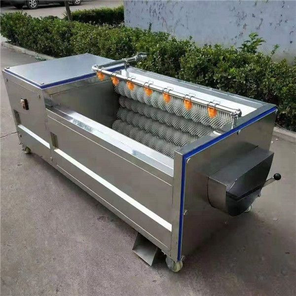 Brush washing peeling machine