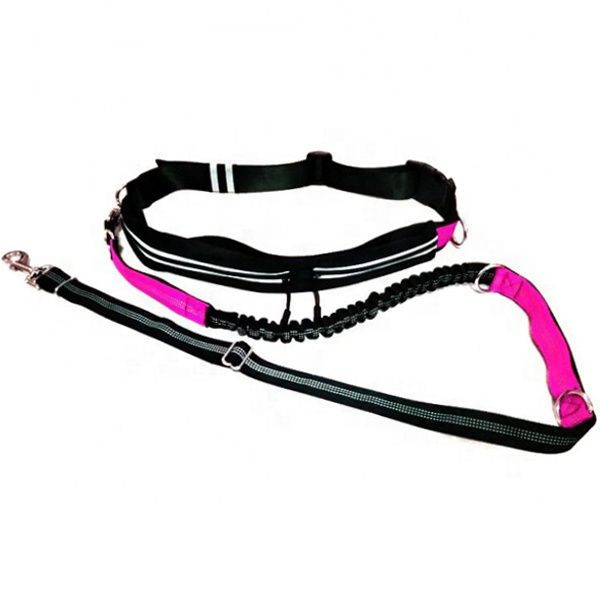 2019 Retractable Running Hands Free Nylon Reflective Adjustable Pet Bungee Leash Dog