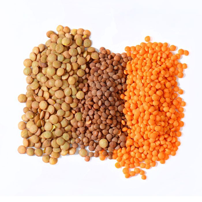 Best Quality Green Lentils | Red Lentils | Brown Lentils