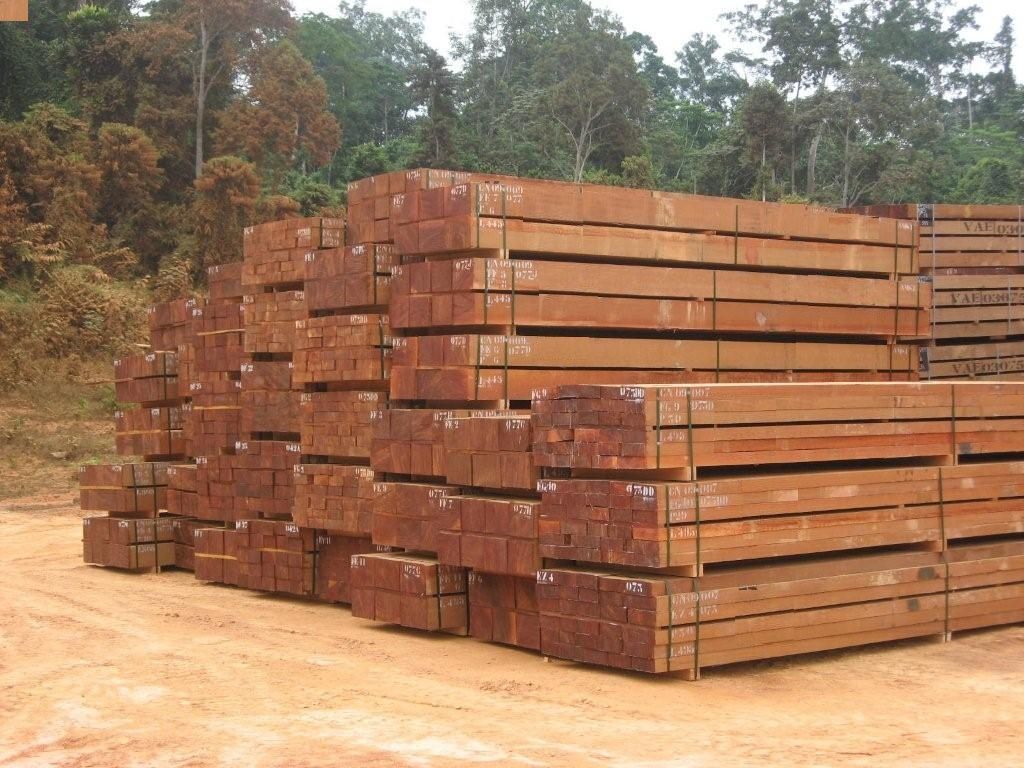 Timber wood Cameroon Azobe, euchaliptus, Sipo, Mahogani, Bubinga, zingana, Sapelle, Okan,