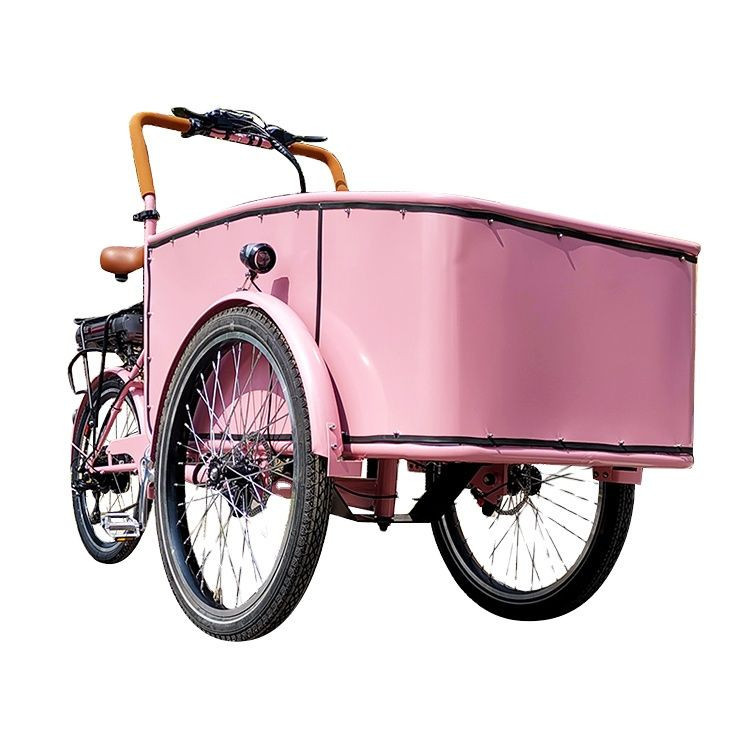 Electric cargo bike with 3 wheel delivery goods