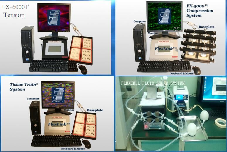 FX-5000T Flexcell Tension Plus system