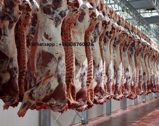 Beef Meat From Argentina