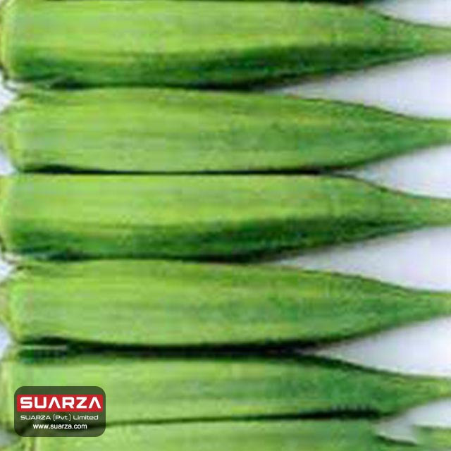 Fresh Green Okra Manufacturer/ Supplier/ Exporter in Pakistan