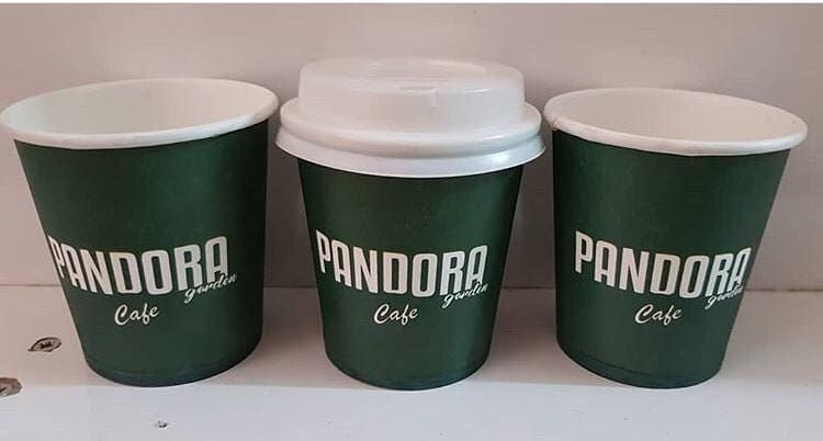 High Quality Disposable PE Coated Paper Cups