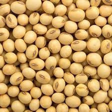 We can supply SoyBean GMO and Non GMO