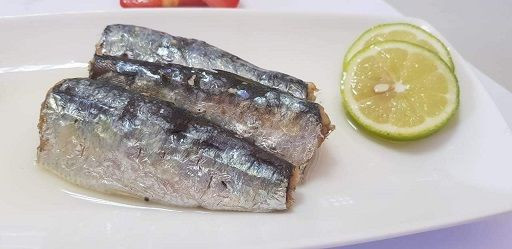Bulk Moroccan Sardines wholesale