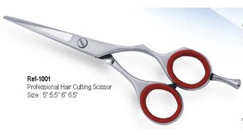 Professional Hair Dressing Scissors