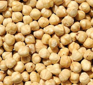 Hazelnut (all type)