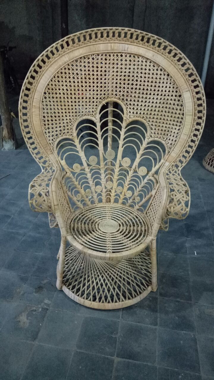 Peacock Chair