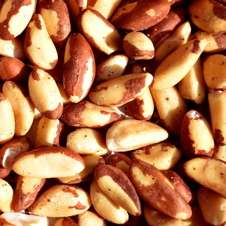 HIGH QUALITY Organic Raw Brazil Nuts