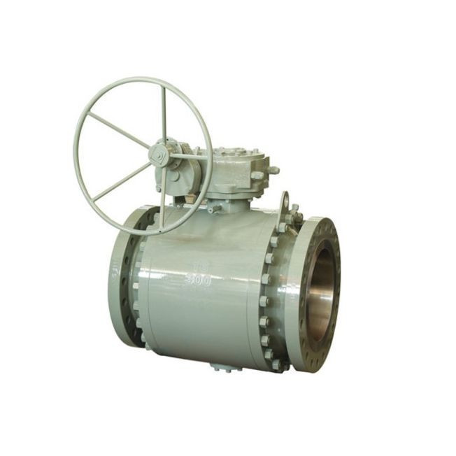 ANSI Forged steel trunnion ball valve