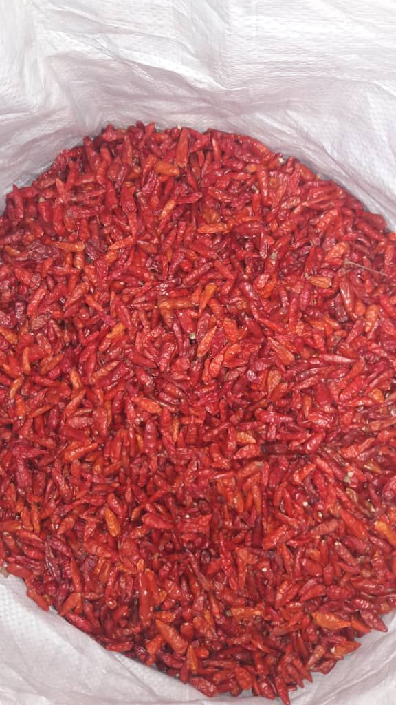 Dried Red Hot Chilli