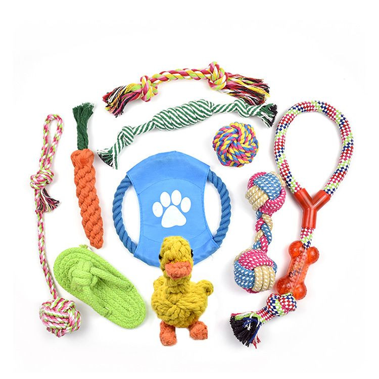 10 pcs pet trainning dog toy set