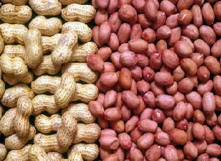 Groundnut seeds