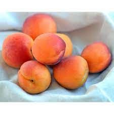 Natural Fresh Apricots