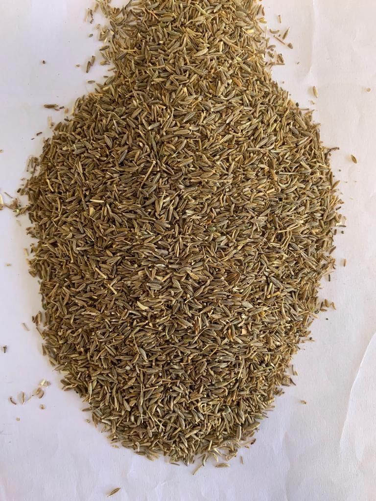 Cumin Seed