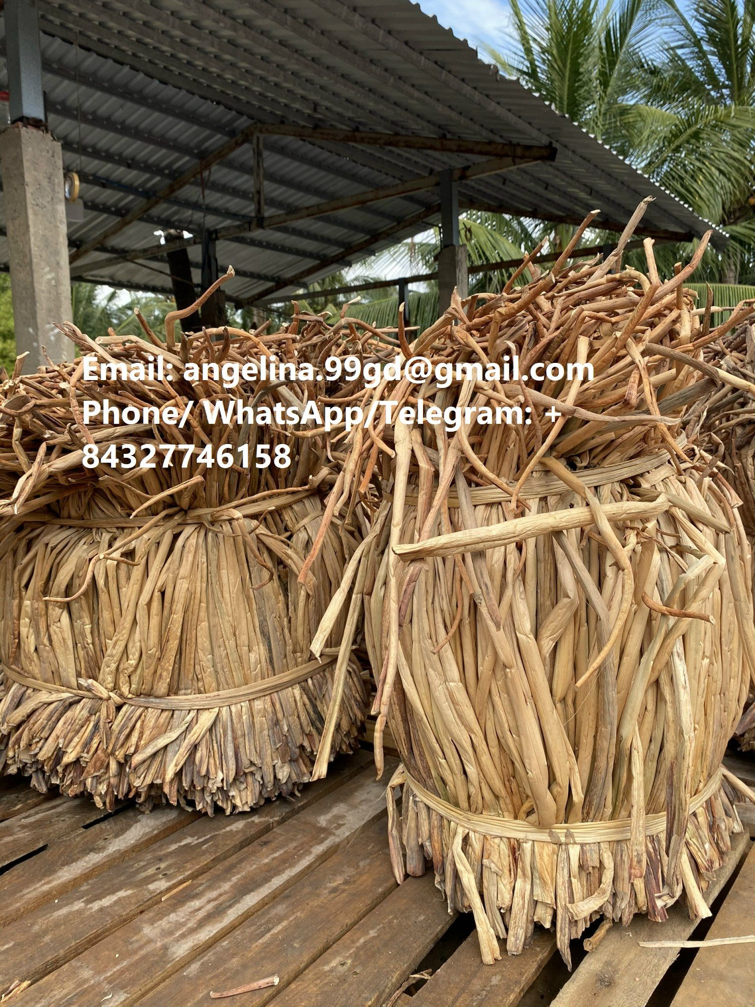 water hyacinth material