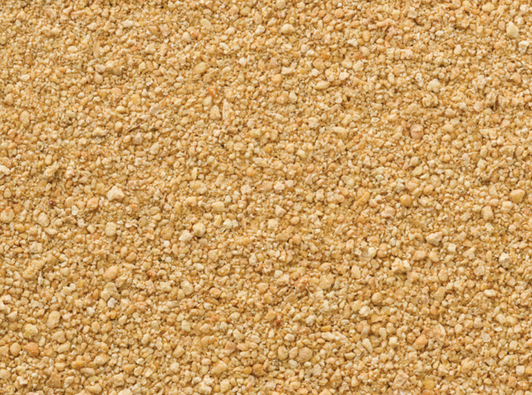 Pure Wheat Bran For Sale in Bulk Quantity