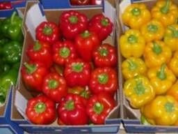 export of vegetables in bulk from farms and plantations from 10 tons