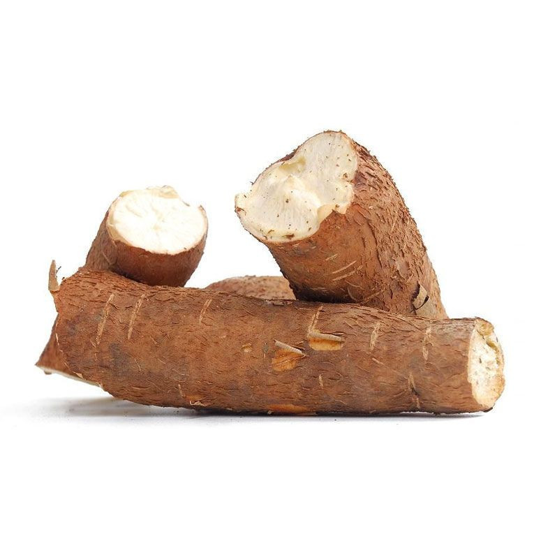 High Quality Fresh   / Tapioca / Manioc / Yucca Roots / CASSAVA