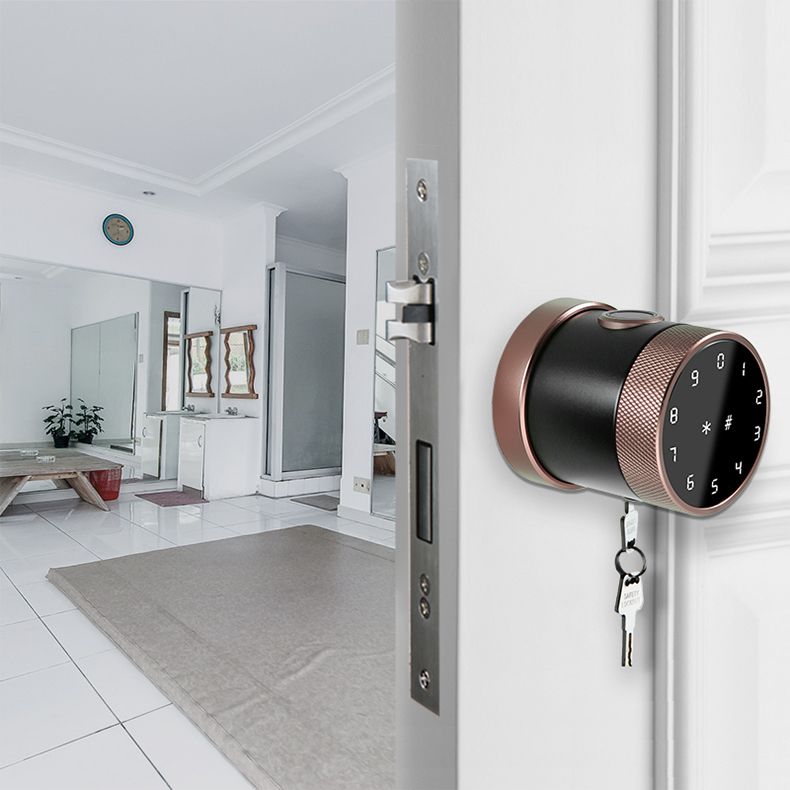 Hotsale Electronic Mortise Smart Door Lock