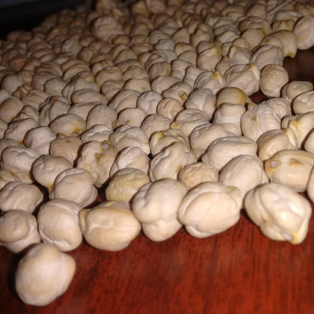 High Quality White Dried Chickpeas