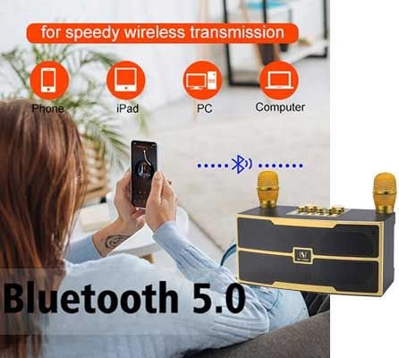 DE-417643-Bluetooth Karaoke Microphone
