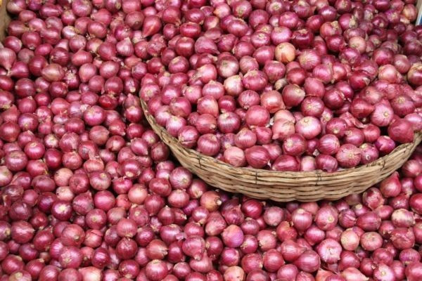 Onions in wholesale