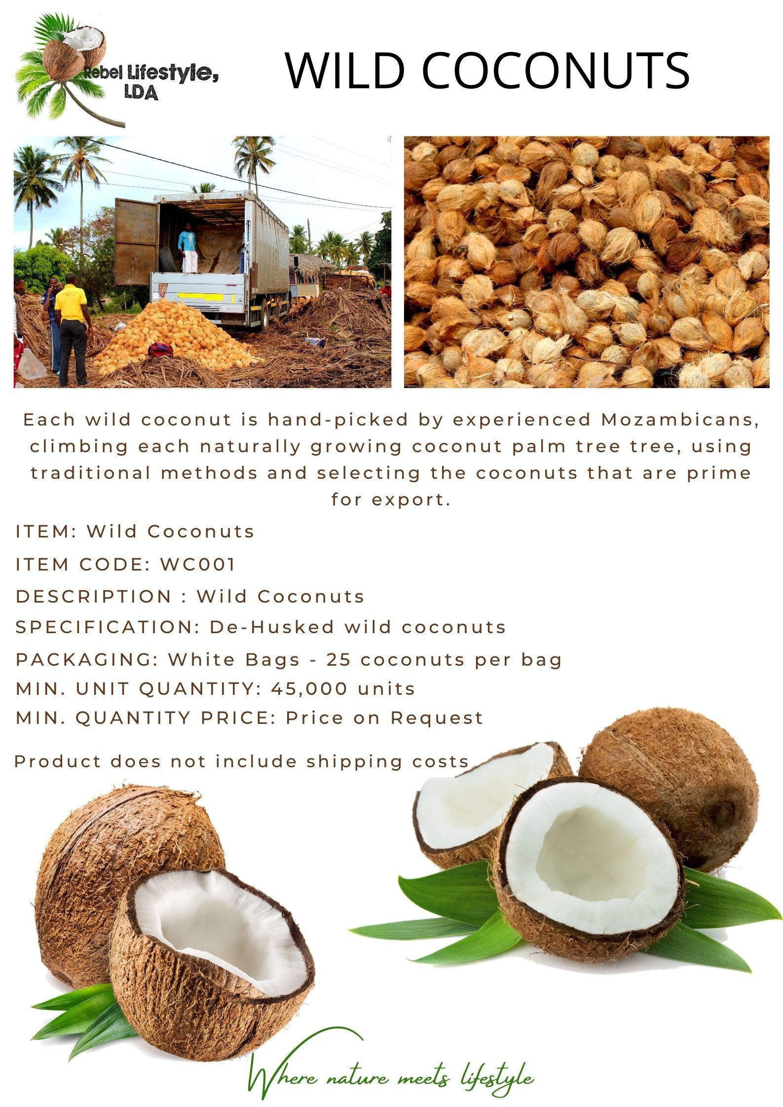 Fresh Wild Coconuts