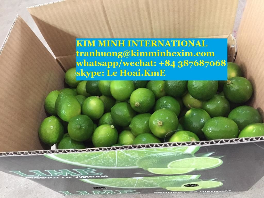 FRESH LEMON +84 387687068