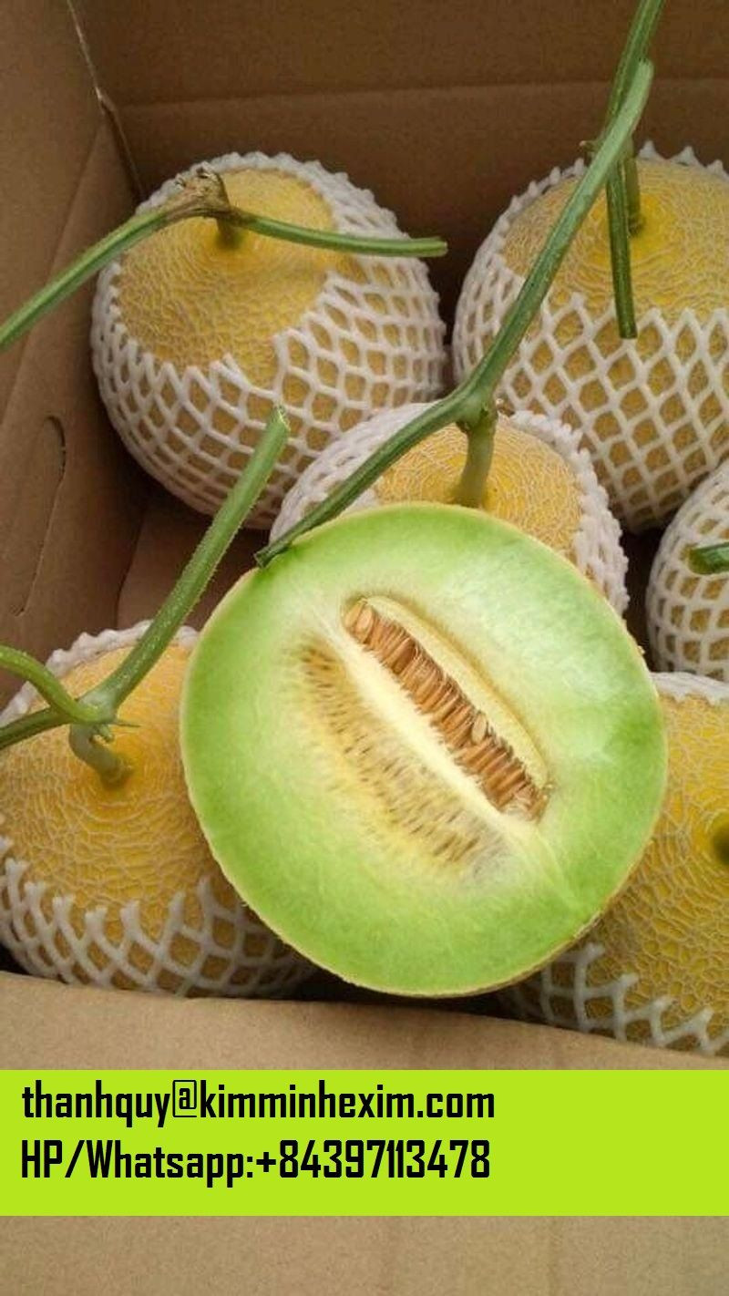 Fresh Rock Melon