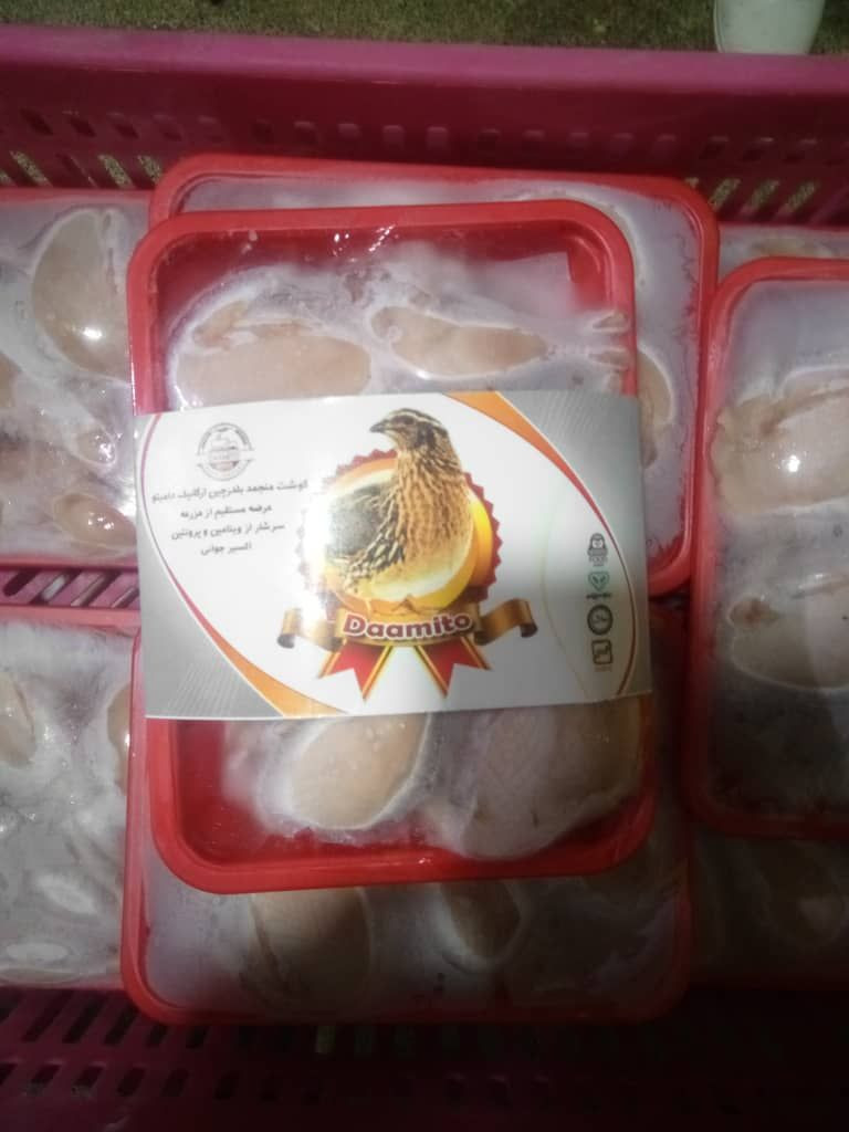 Frozen quail meat