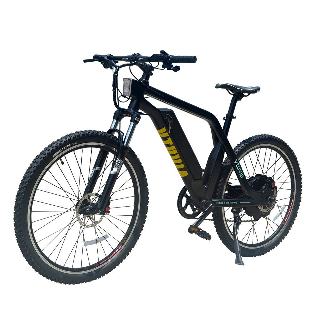 EN15194 Approved 48v 1000 watt electric bicycle mountainbike e bike