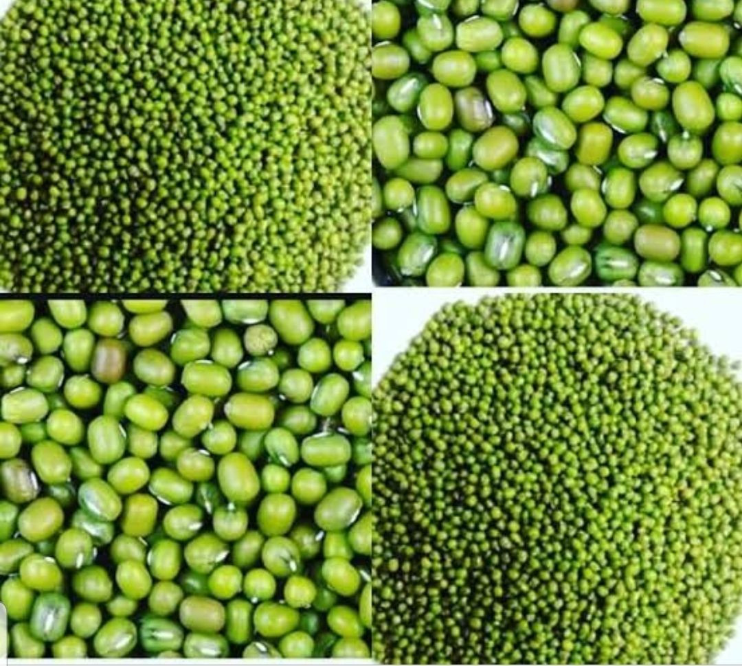 Green Mung Beans