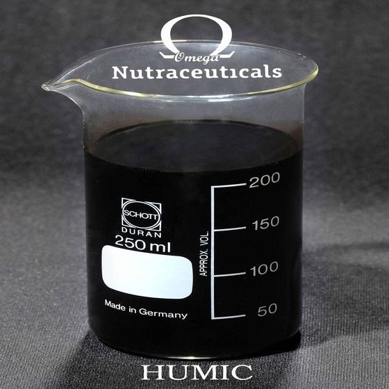 Humic Acid 70%