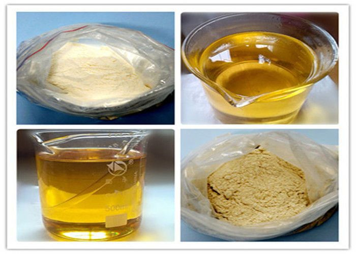 Trenbolone Enanthate / Trenbolone AcetateTrenbolone Enanthate Oil And Raw Powder