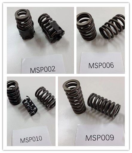 Valve spring MSP